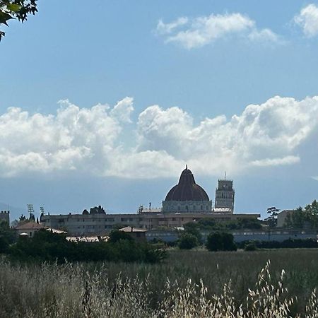 Nido Del Parco, Delizioso Bilocale A Pisa Appartement Buitenkant foto
